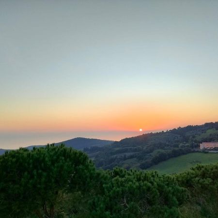 Vista Sulle Isole Dell'Arcipelago Toscano Nibbiaia 部屋 写真